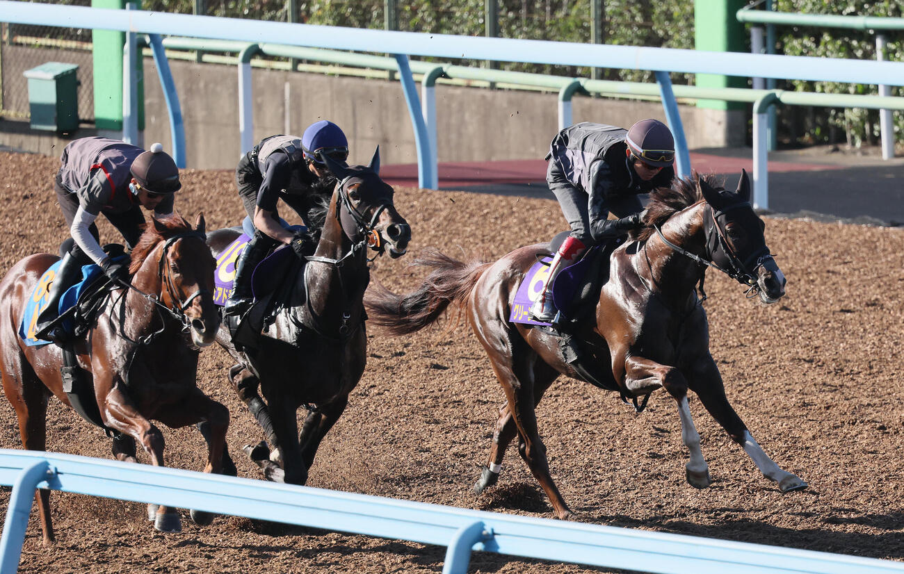 グリーンエナジー（右）はライヒスアドラー（中央）、オペラプラージュ（左）と美浦ウッドで併せて追い切られた（撮影・丹羽敏通）