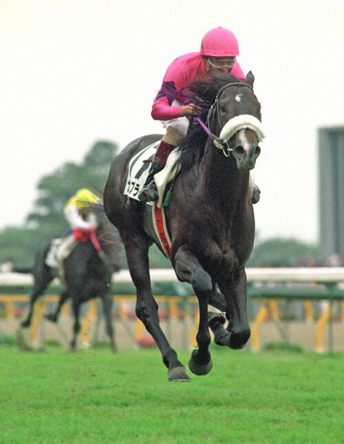 ダービー】17番枠の皐月賞馬ロブチェンに「ナリタブライアンか