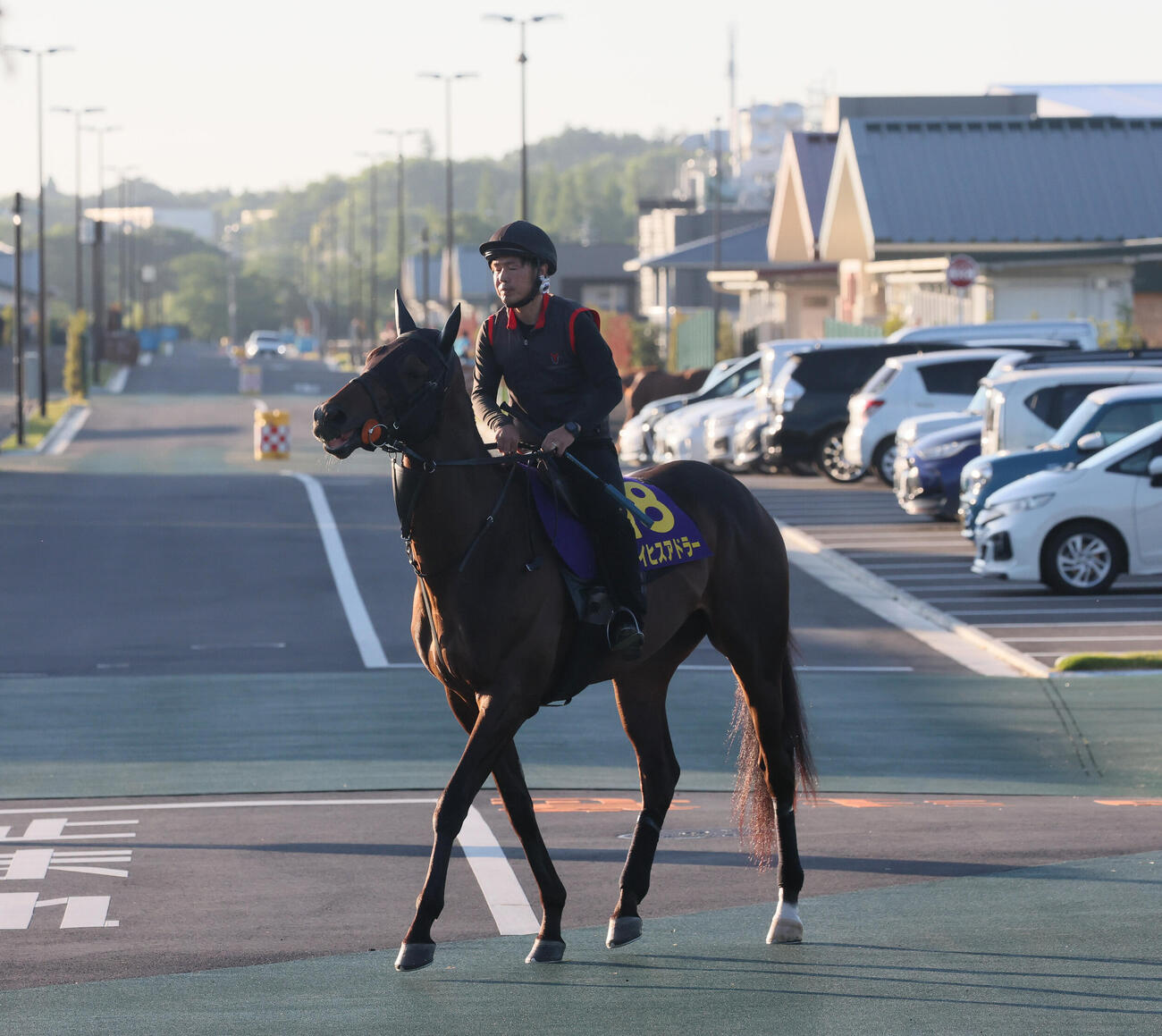乗り運動するライヒスアドラー（撮影・丹羽敏通）