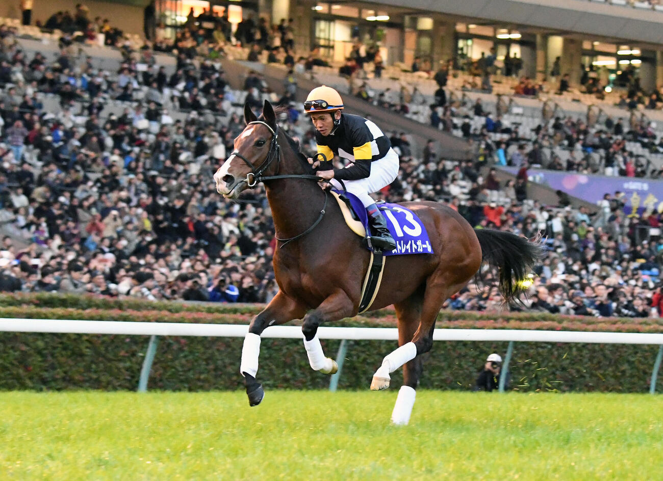 引退式で、戸崎圭太騎手を背に芝コースを走るストレイトガール（2016年10月30日撮影）