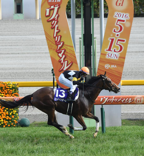 競馬　アイドルホース　ヴィクトリアマイル ストレイトガール　Mサイズ G1を3勝のストレイトガールが死亡 3月にイクイノックスの牡馬を出産