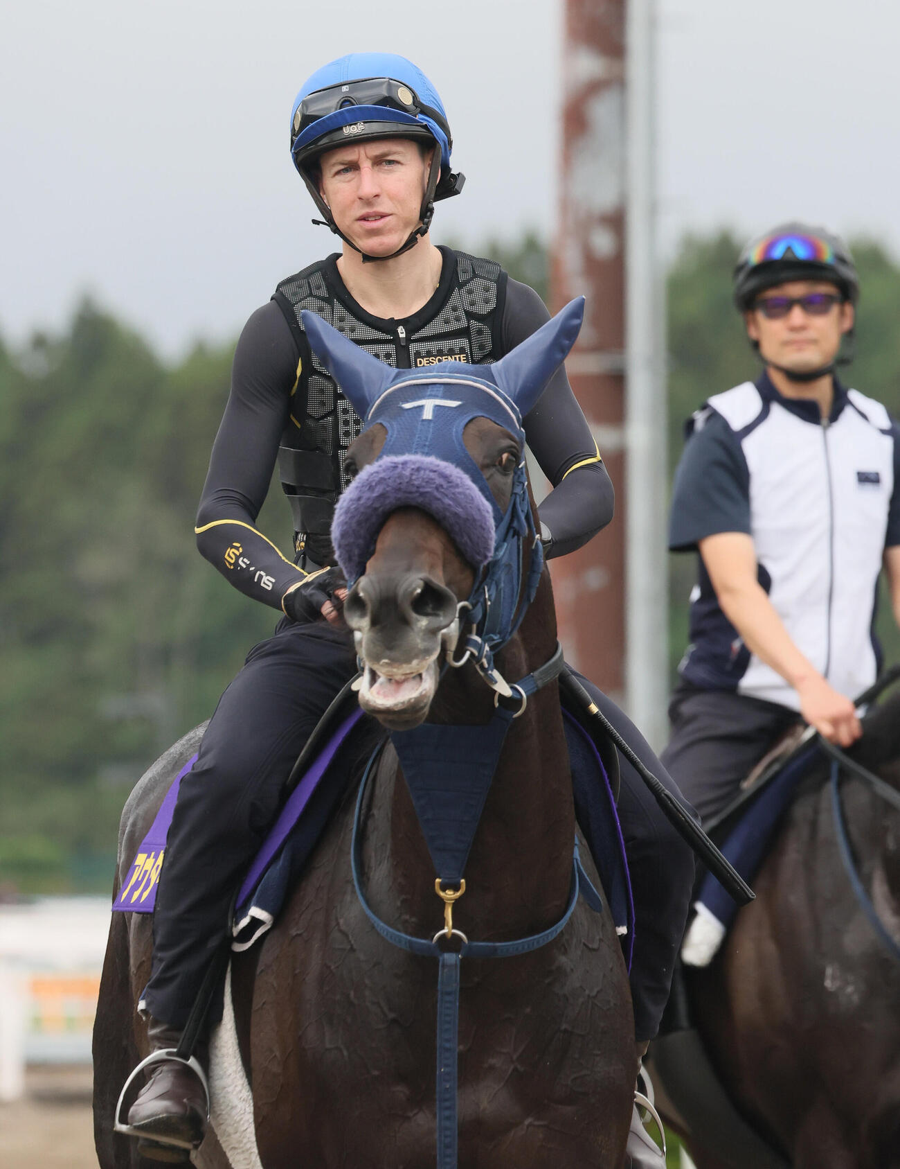 追い切りを終えて馬場を出るアウダーシアとダミアン・レーン騎手（2026年5月27日撮影）