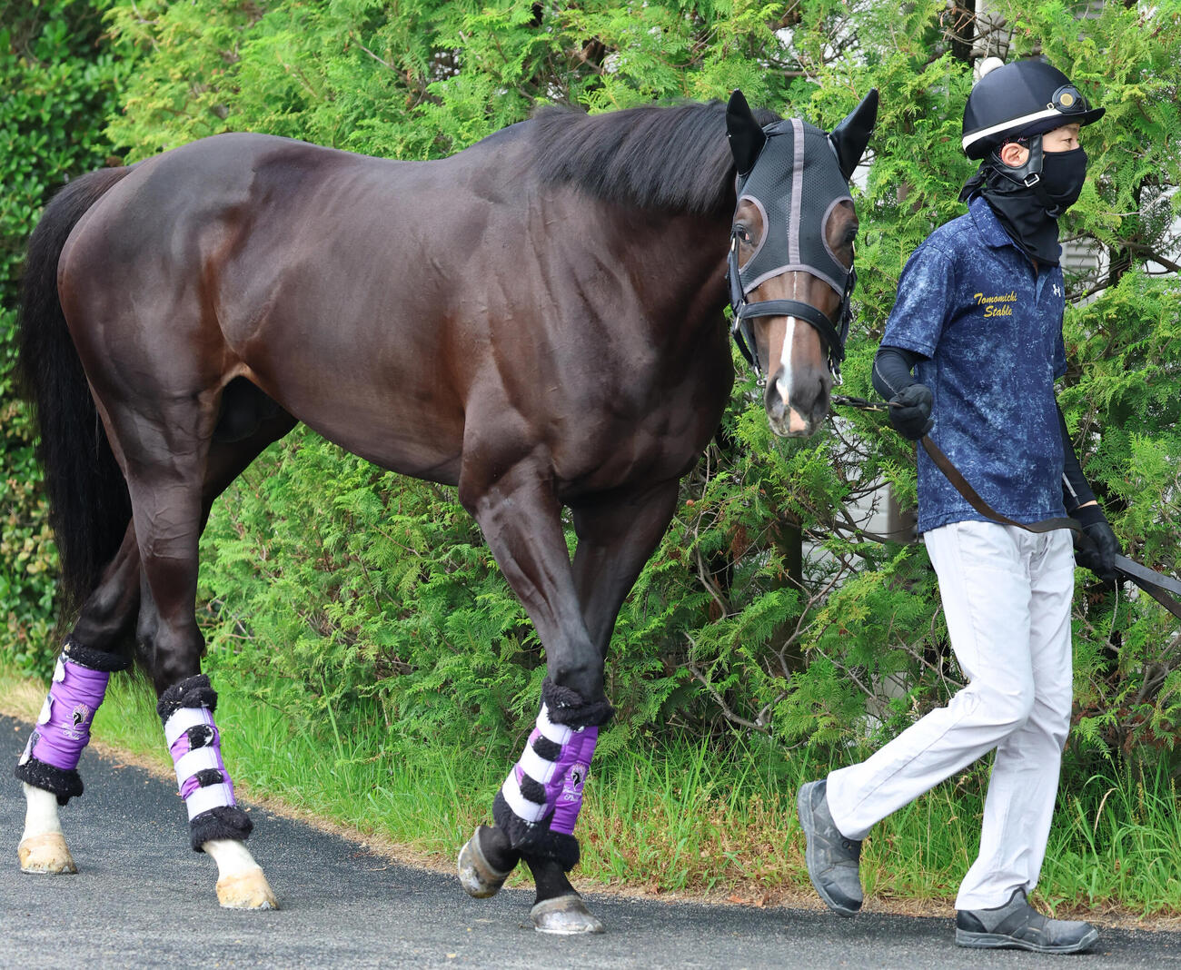 引き運動で調整するエムズビギン