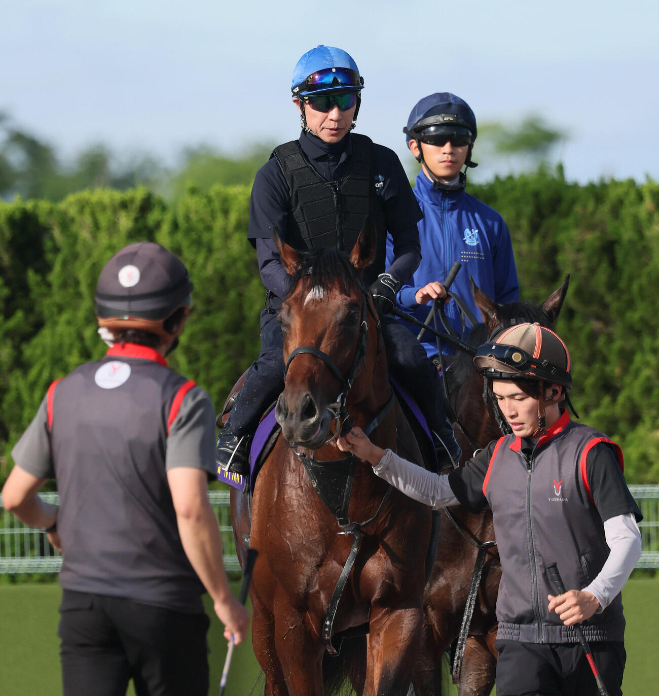 最終追い切りを終えて馬場を出るゴーイントゥスカイと武豊騎手（撮影・丹羽敏通）
