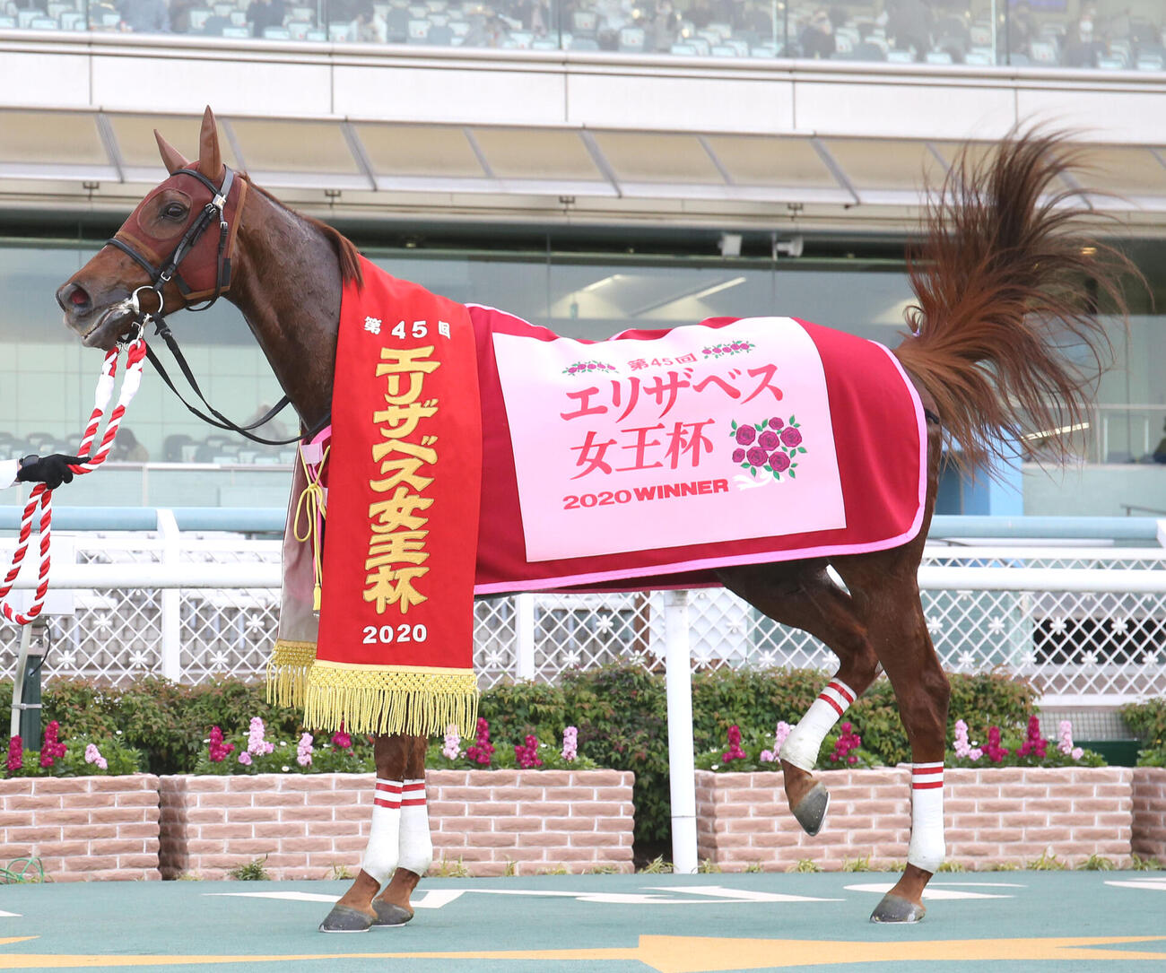 ラッキーライラック（2020年撮影）