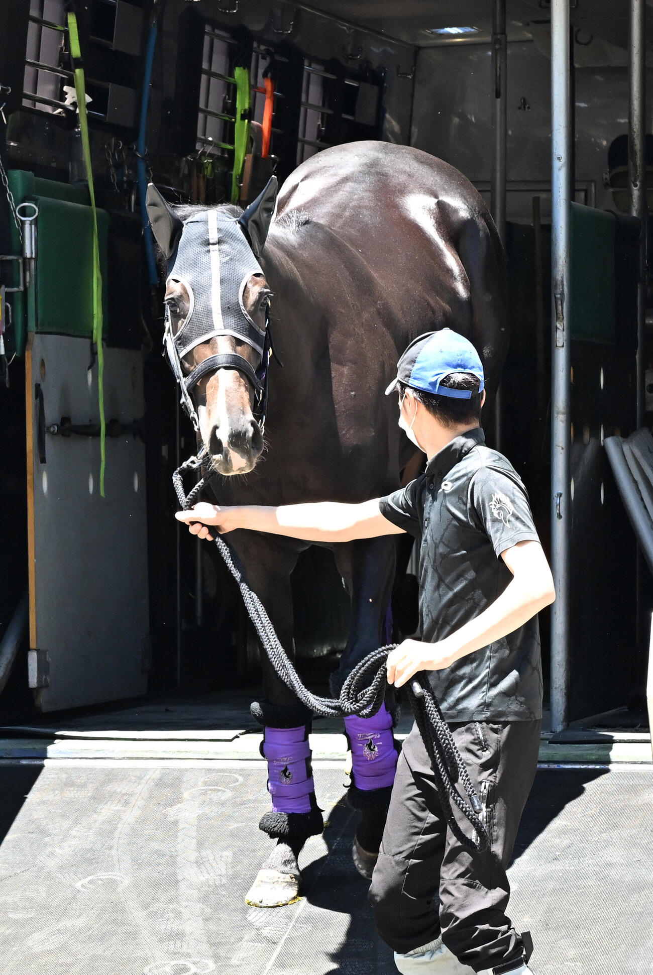 東京競馬場に到着したエムズビギン（撮影・千葉一成）