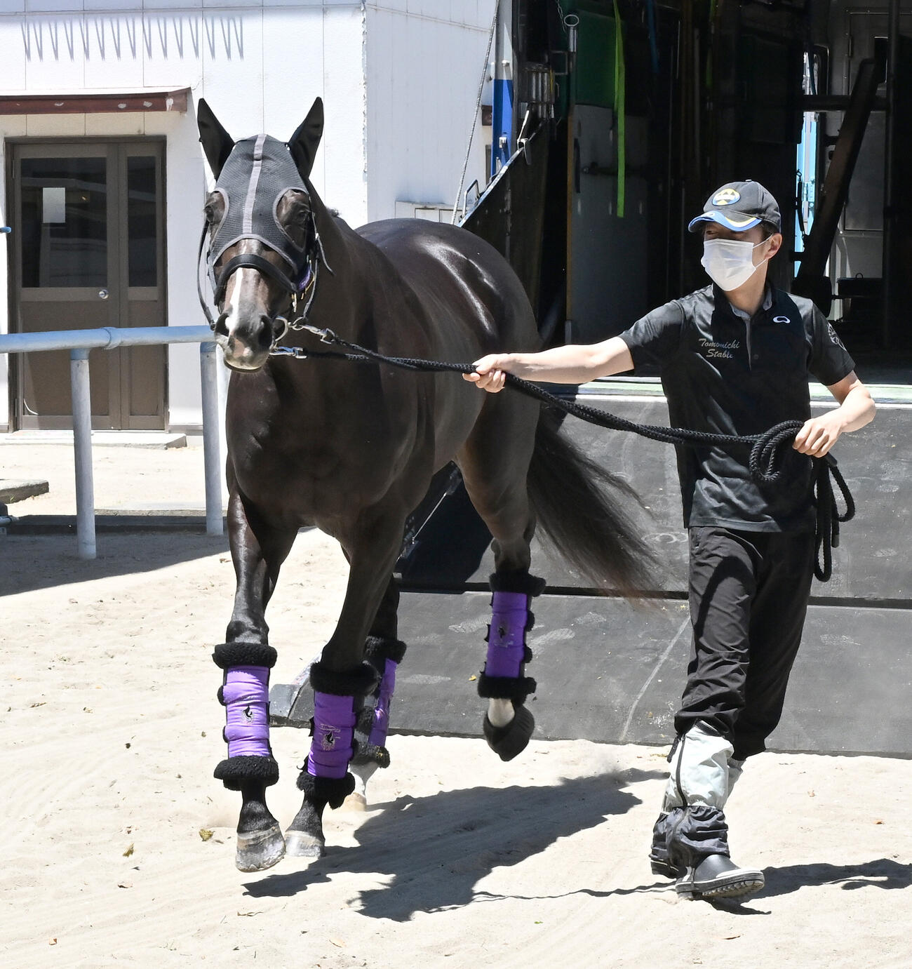 東京競馬場に到着したエムズビギン（撮影・千葉一成）