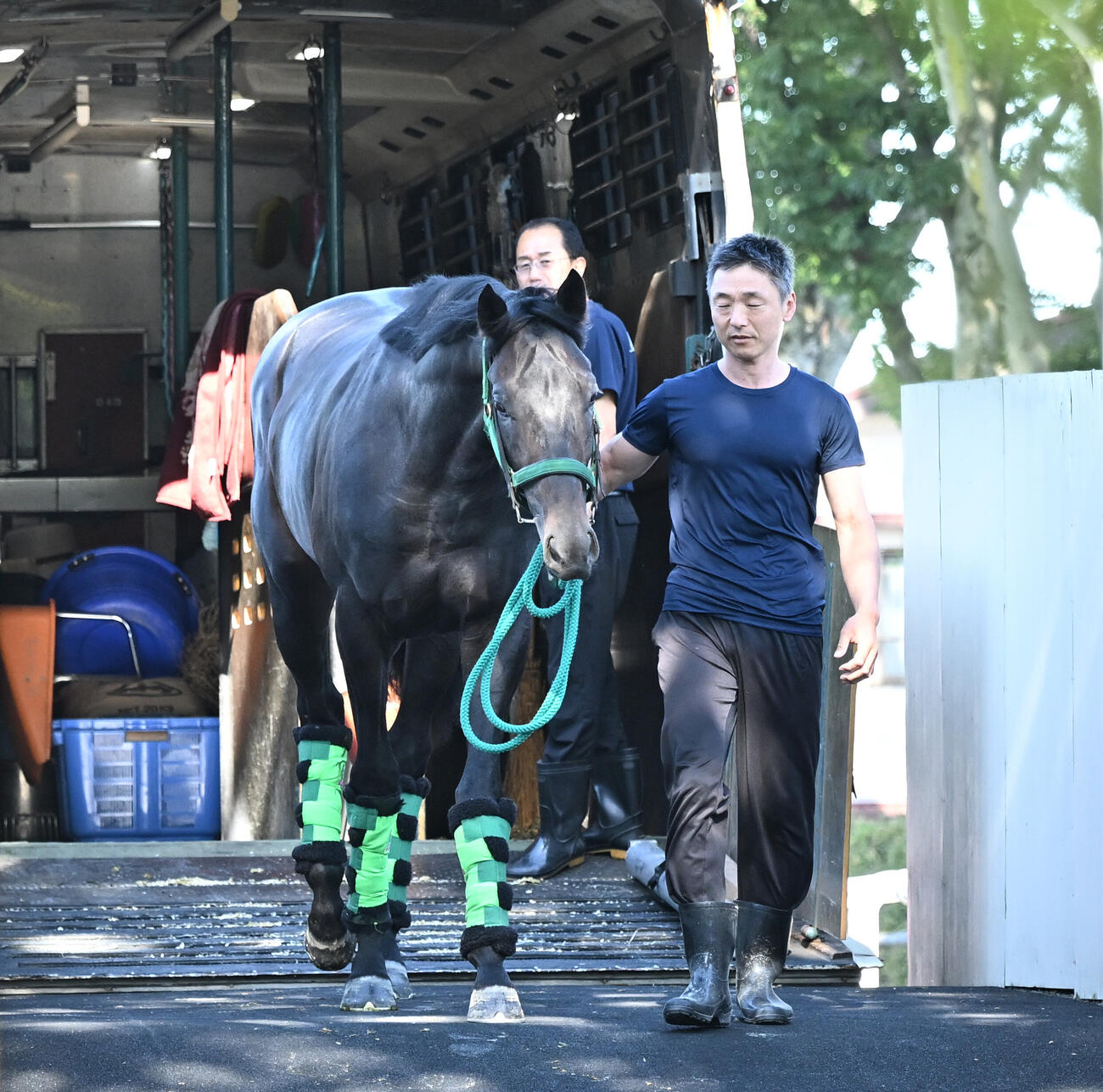 東京競馬場に到着したロブチェン（撮影・千葉一成）