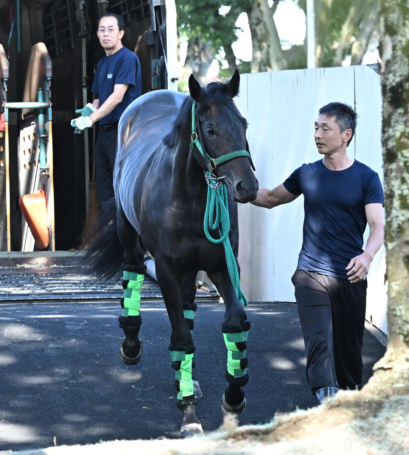 東京競馬場に到着したロブチェン（撮影・千葉一成）