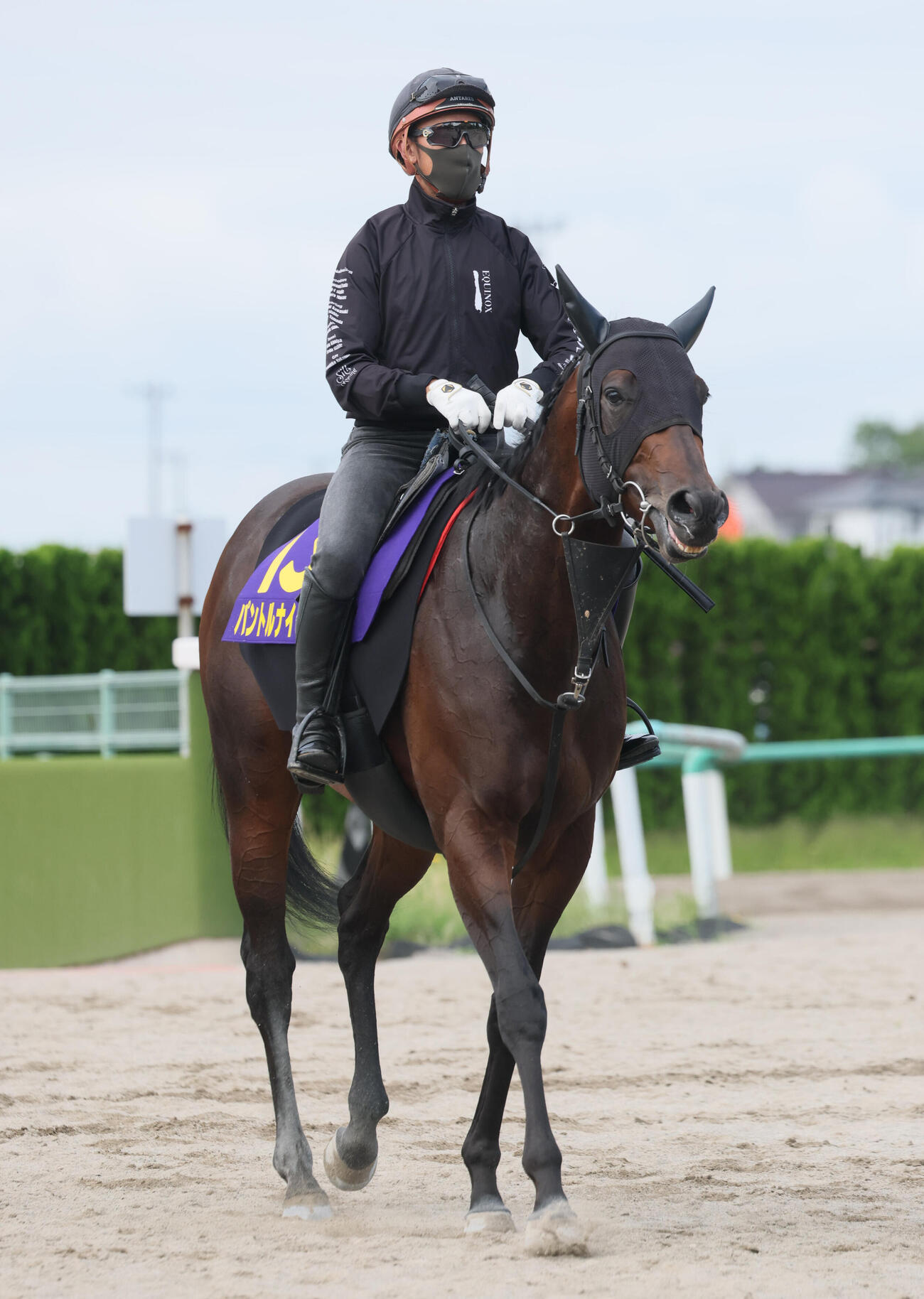 28日、調教を終えて馬場を出るパントルナイーフ