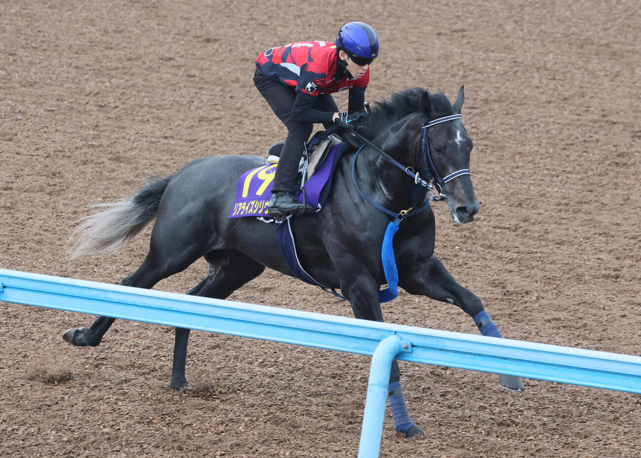 27日、津村明秀騎手を背に追い切ったリアライズシリウス