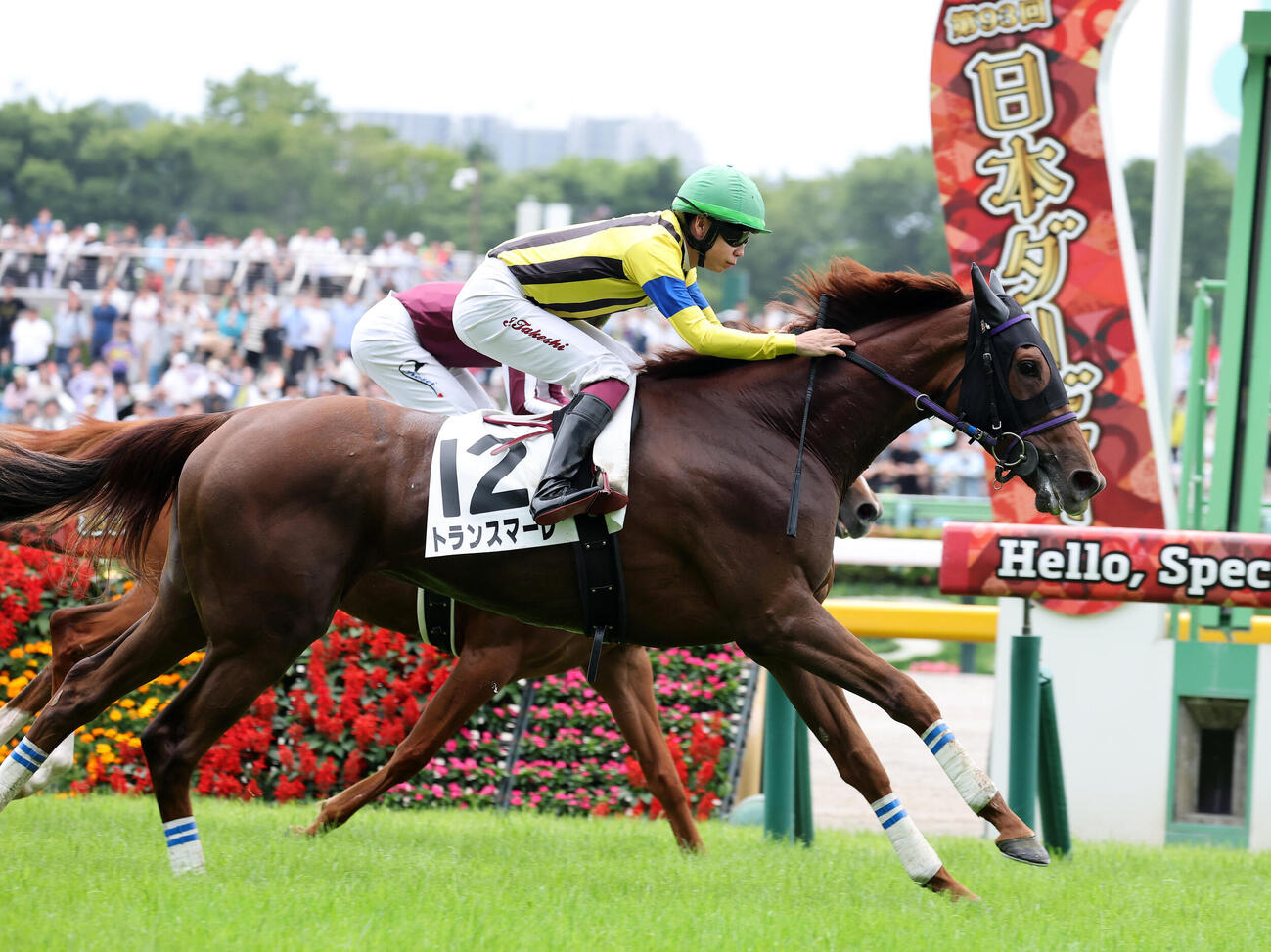 東京4R、3歳未勝利を制したトランスマーレ（手前）と横山武史騎手（撮影・鈴木正人）