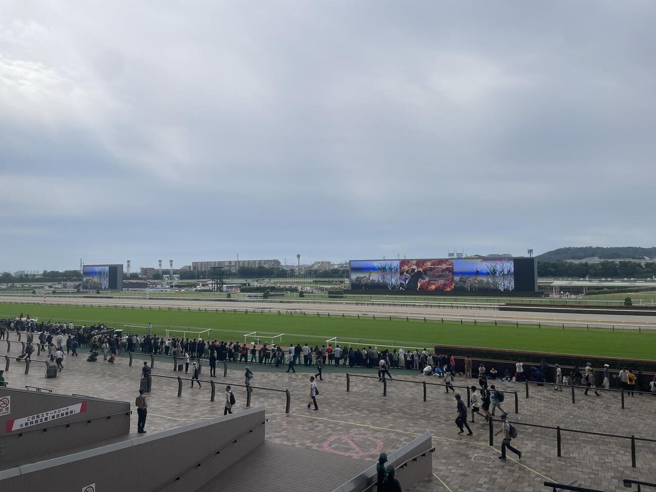 第93回日本ダービー当日、第1Rから東京競馬場に詰めかける大勢のファン
