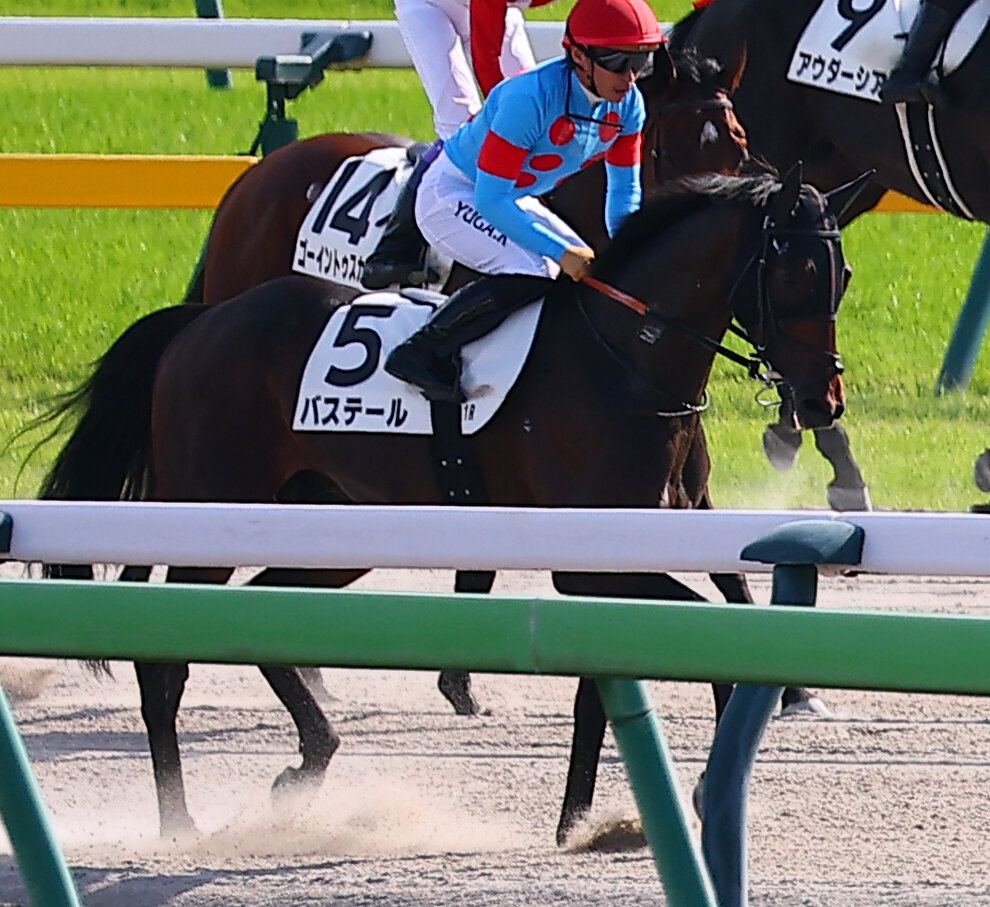 日本ダービーで3着に終わったバステールと川田将雅騎手（撮影・野上伸悟）