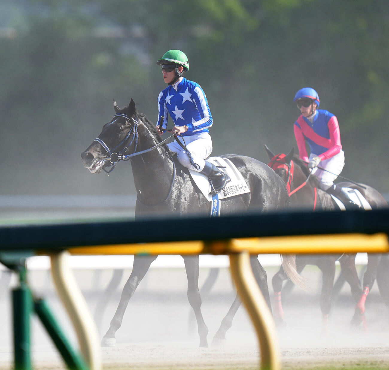 東京11R、日本ダービーで2番人気に応えられずに7着に敗れたリアライズシリウスと津村明秀騎手（撮影・丹羽敏通）