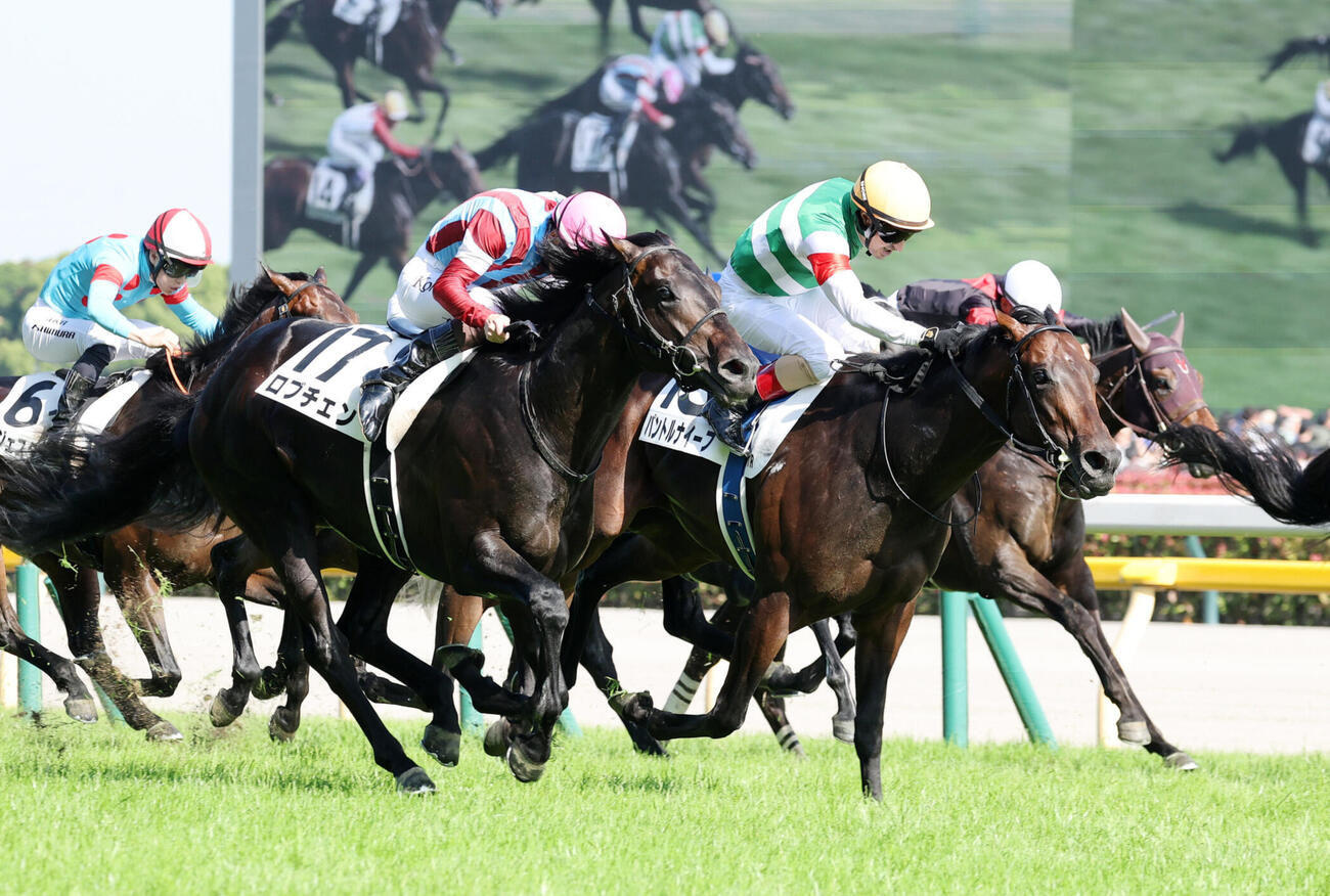 ダービー2着に敗れたパントルナイーフ（右）。左は勝ったロブチェン（撮影・鈴木正人）