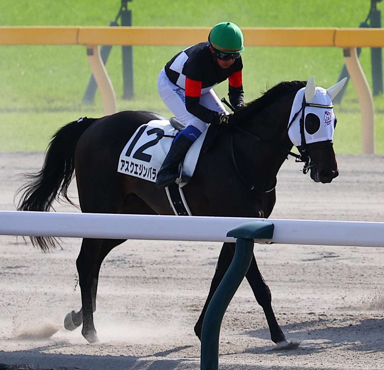 日本ダービーで10着に終わったアスクエジンバラと岩田康誠騎手（撮影・野上伸悟）