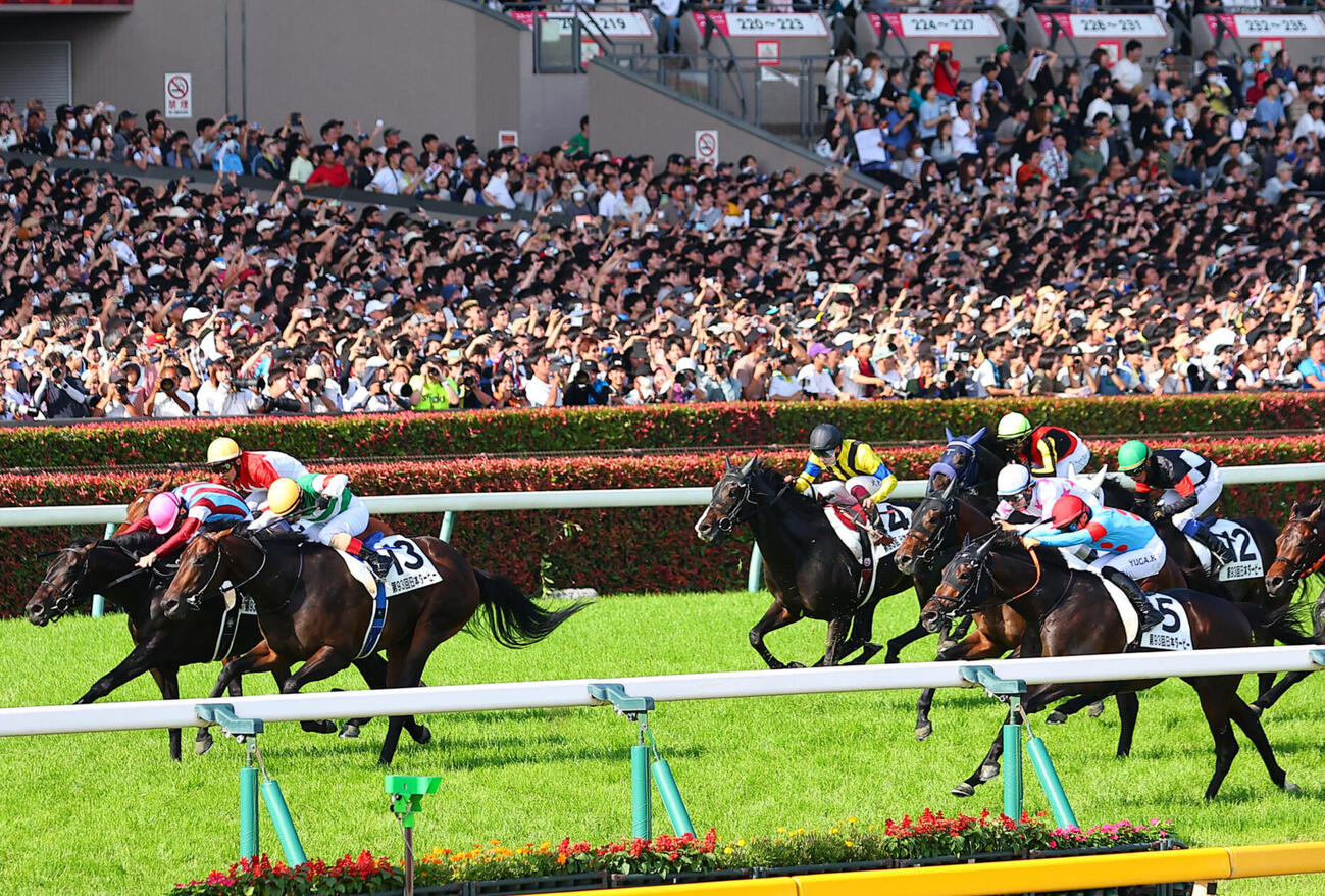 ダービー3着のバステール（右端）（撮影・野上伸悟）