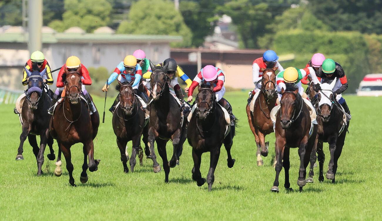 東京11R、ロブチェンと松山弘平騎手が制した日本ダービー。右から2頭目は2着パントルナイーフ（撮影・丹羽敏通）