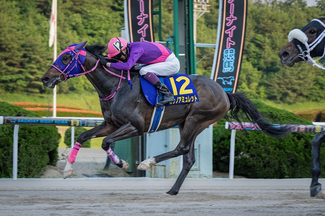 九州優駿栄城賞を制したカシノアミュレット（佐賀県競馬組合提供）