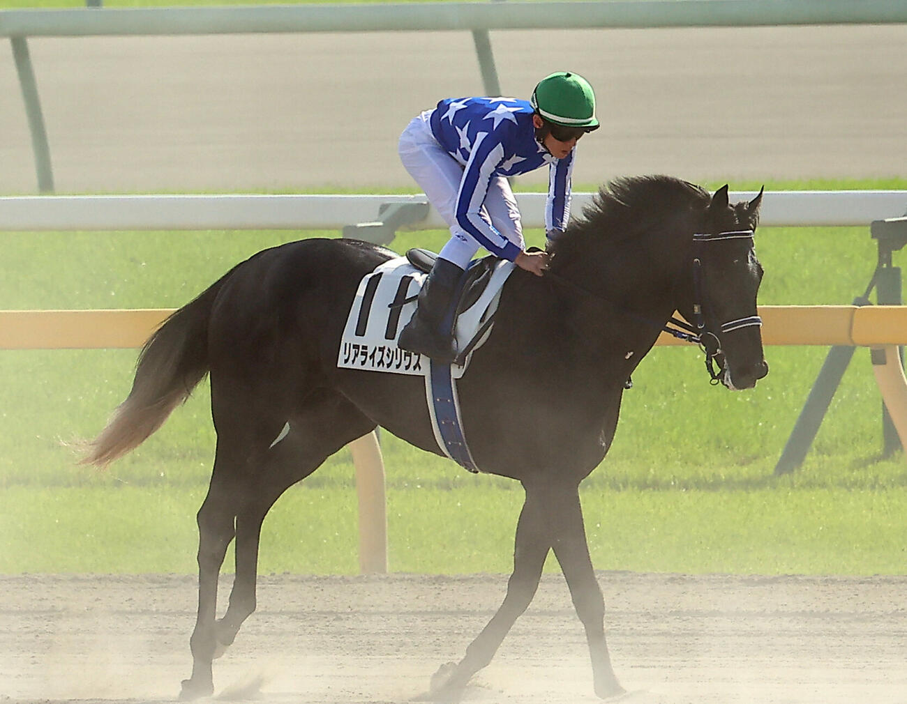 日本ダービーで7着に終わったリアライズシリウスと津村明秀騎手（撮影・野上伸悟）