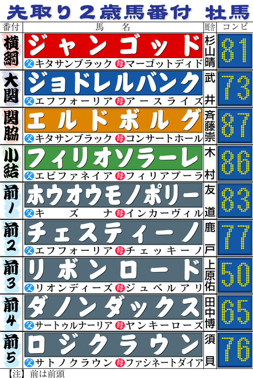 先取り2歳クラシック番付】初参戦ことはジャスティンミラノ半弟推し