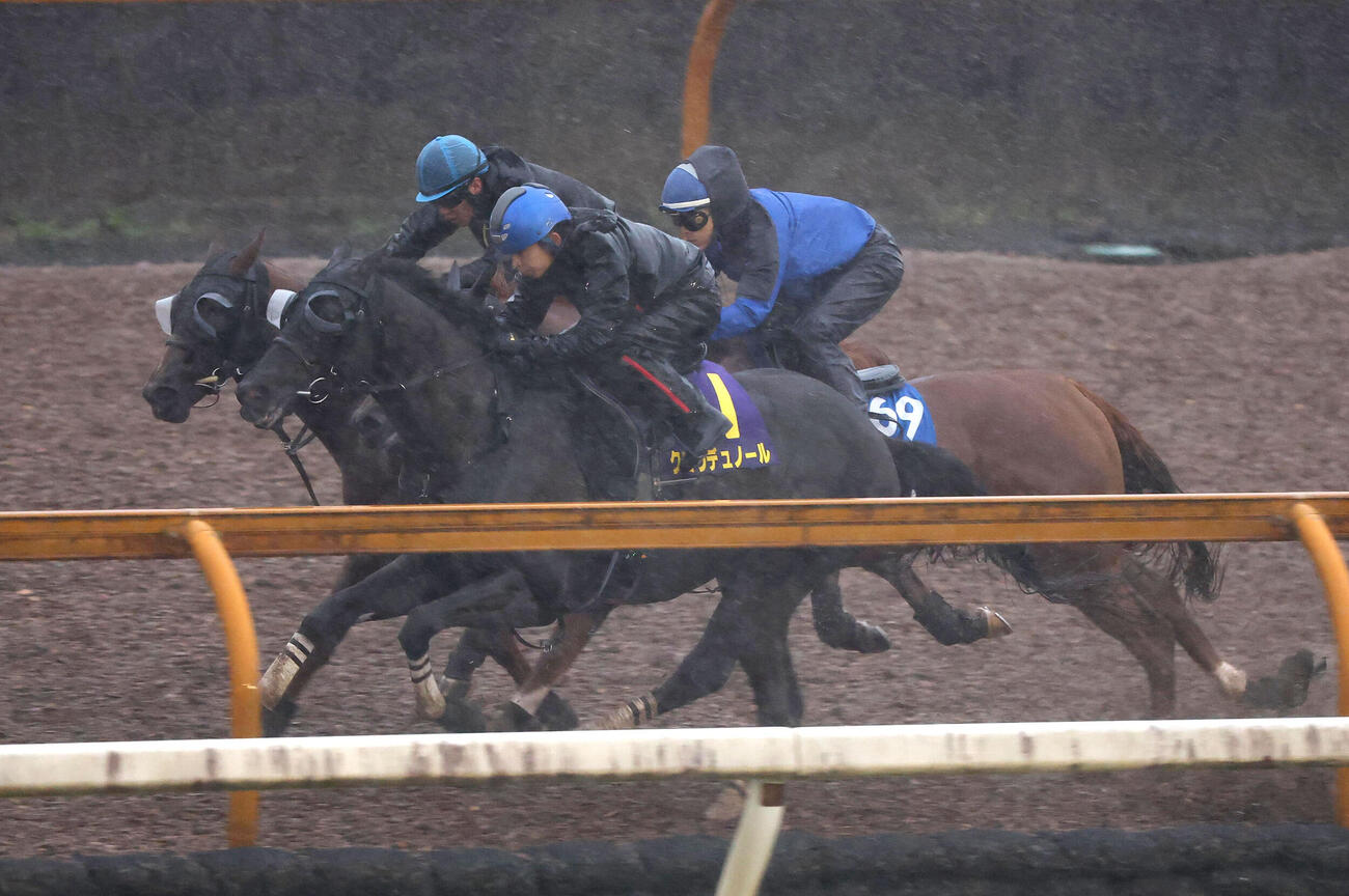 団野大成騎手を背にCウッドをメアグローリア（左）、グロリアラウス（右）と3頭併せで追い切るクロワデュノール（撮影・白石智彦）