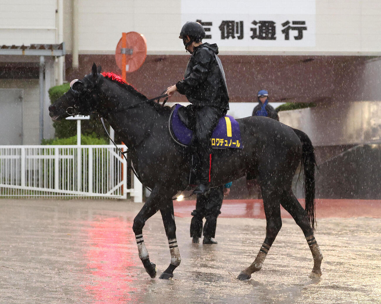 調教から引き揚げるクロワデュノール（撮影・白石智彦）