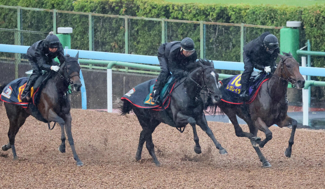 フィリオソラーレ（中央）は美浦ウッドでG1・3勝のレガレイラ（右）などと併せて追い切られた（撮影・丹羽敏通）