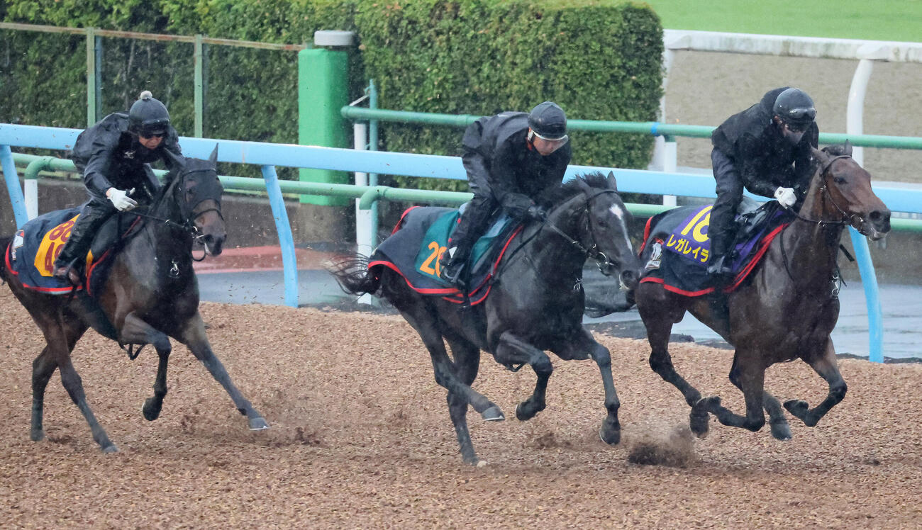 フィリオソラーレ（中央）は美浦ウッドでG1・3勝のレガレイラ（右）などと併せて追い切られた（撮影・丹羽敏通）