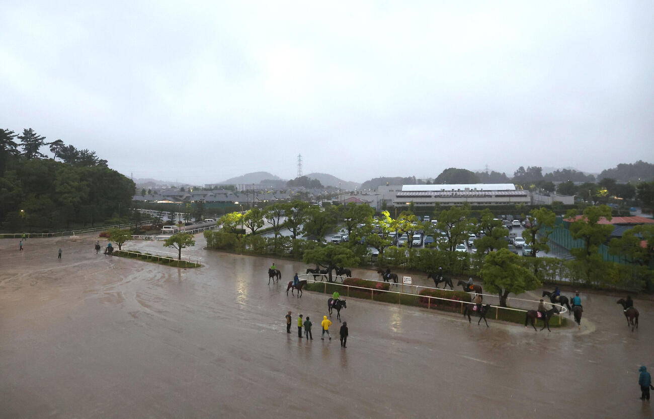 台風に見舞われた栗東トレセン（撮影・白石智彦）
