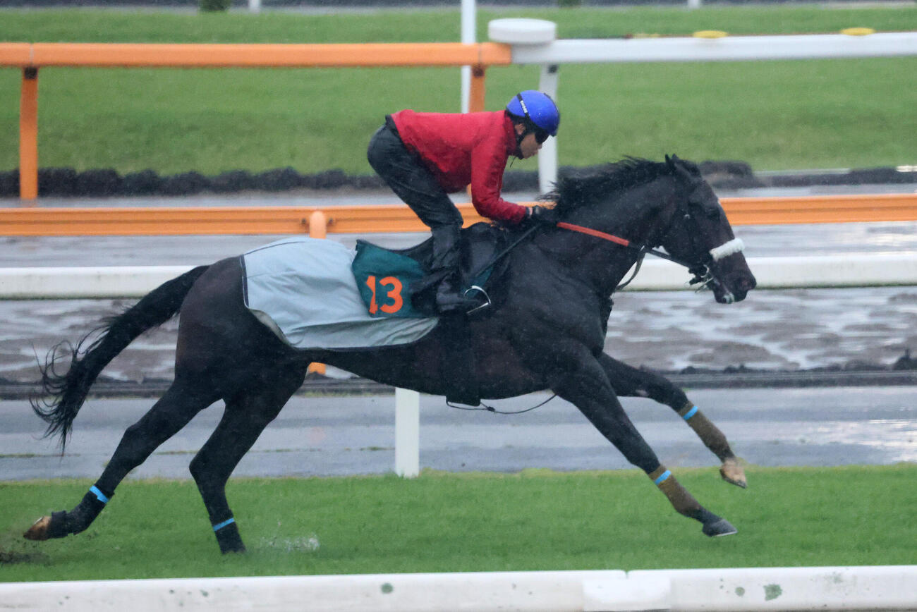 ジョドレルバンクは三浦皇成騎手を背にデビュー戦に向けて芝コースで追い切られた（撮影・丹羽敏通）