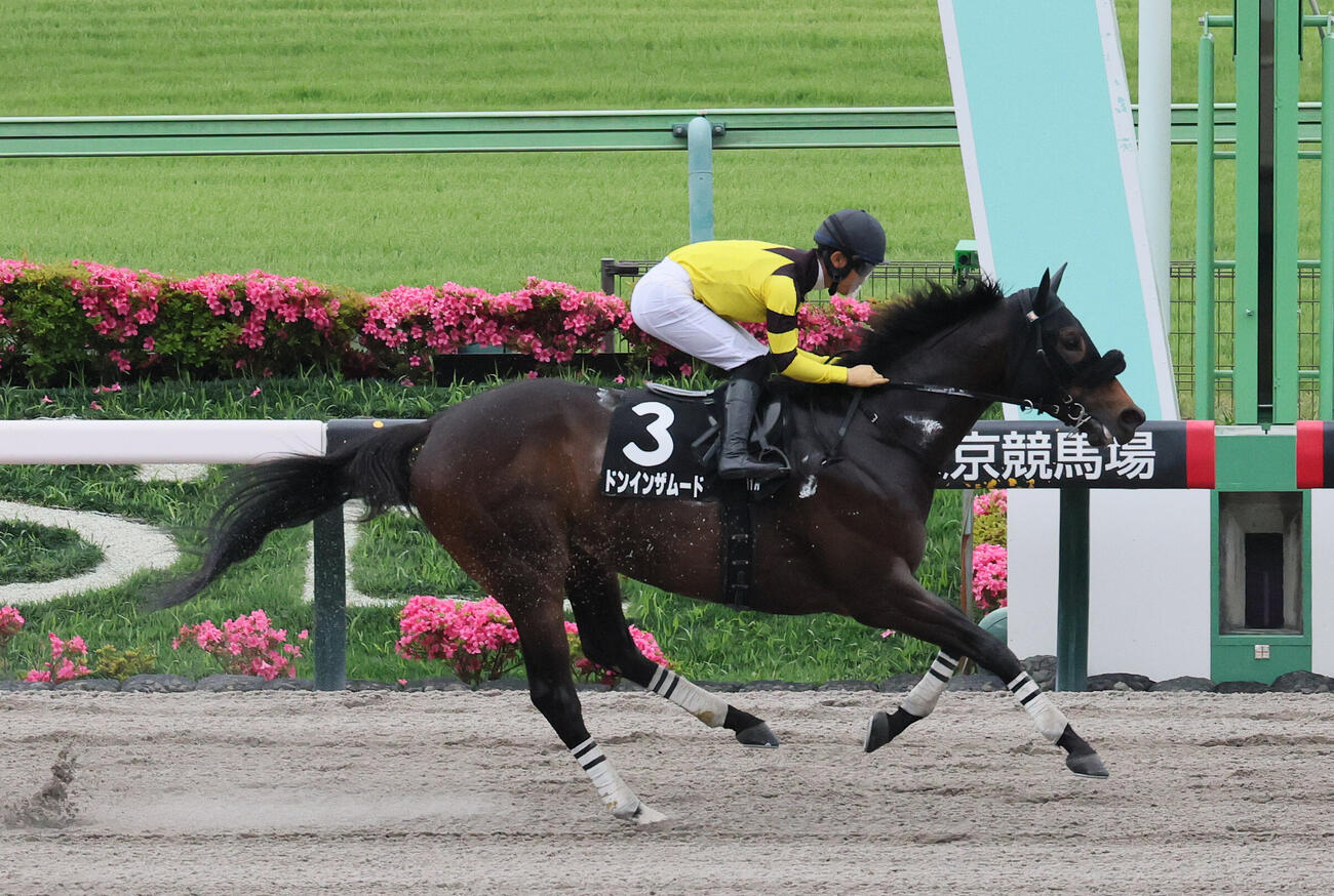 欅Sを快勝したドンインザムード（2026年5月23日撮影）