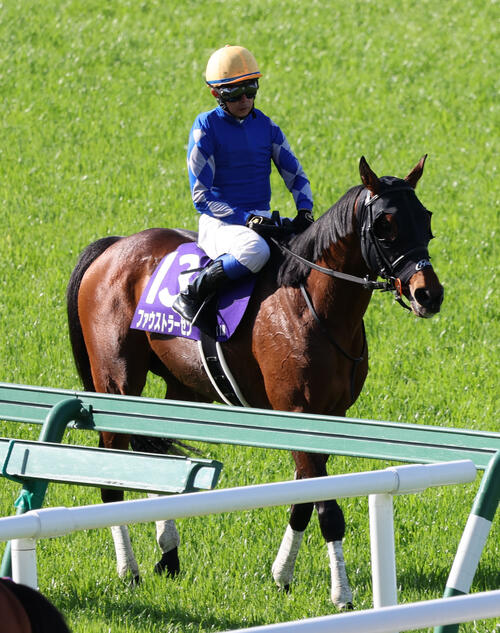 大阪杯13着ファウストラーゼンは小林美駒騎手で6・28函館記念へ／有力