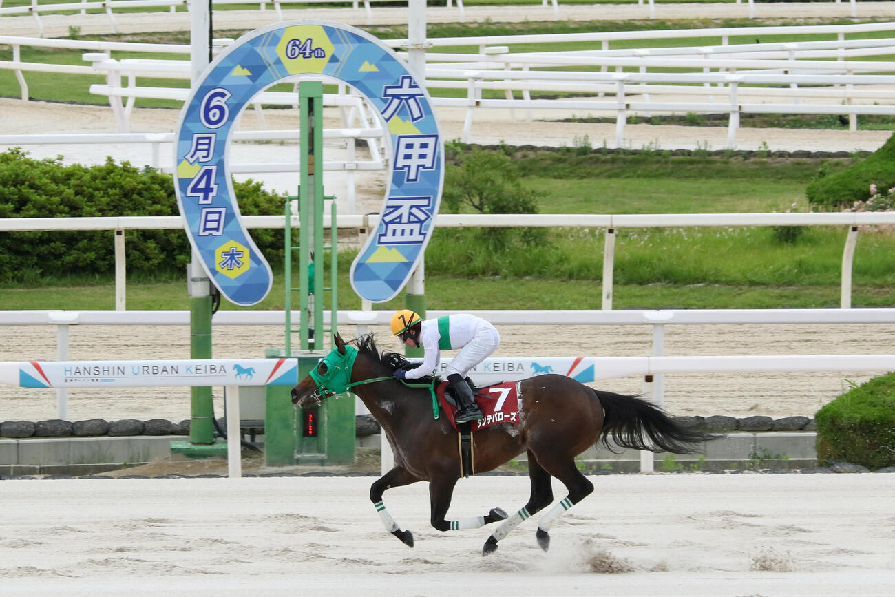 2番手から抜け出し快勝したダンテバローズ（提供：兵庫県競馬組合）