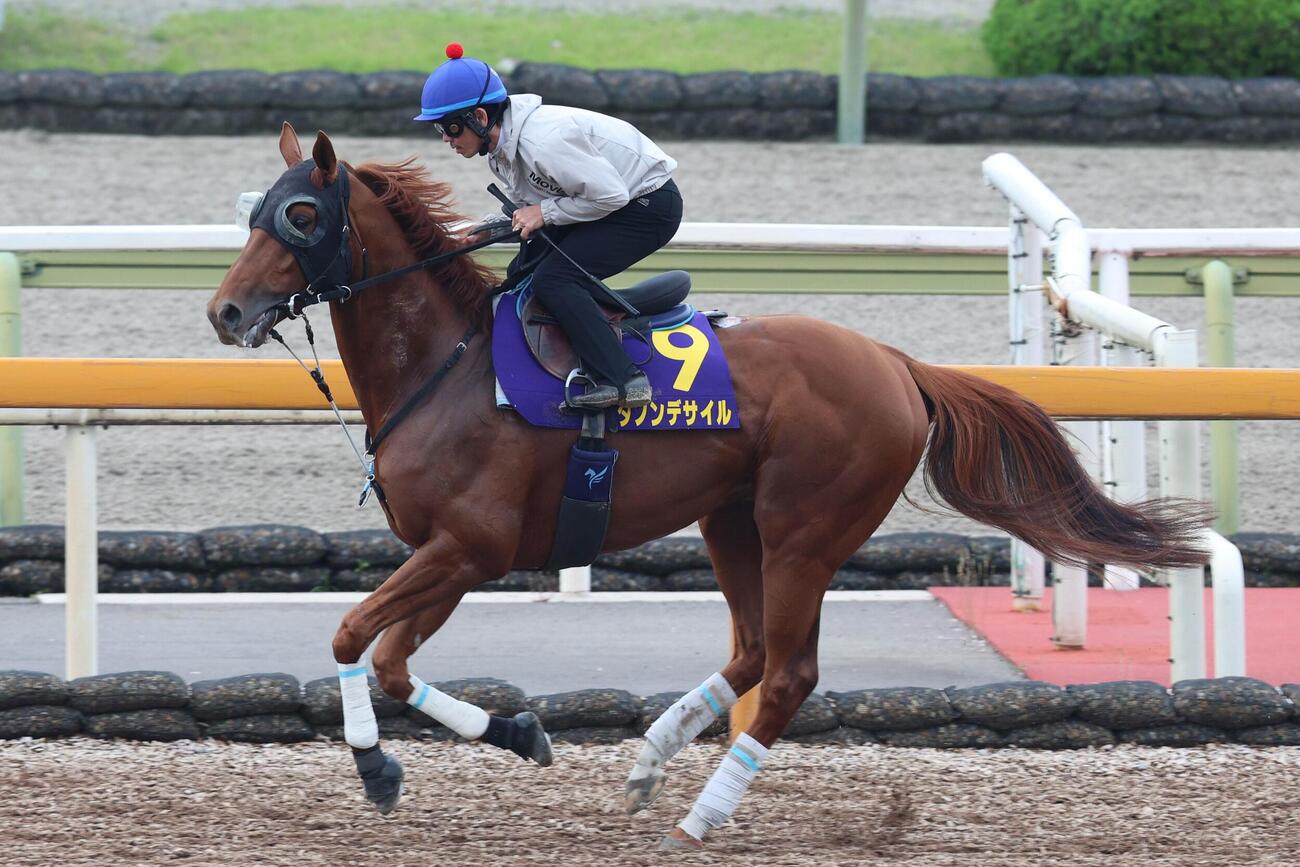 戸崎圭太騎手が騎乗し、馬場入りするダノンデサイル