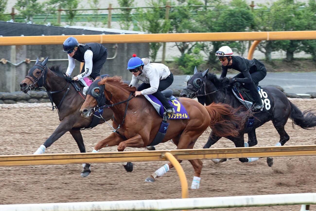 宝塚記念（1週前追い切り）　戸崎圭太騎手が騎乗し、3頭併せで時計を出したダノンデサイル（中）