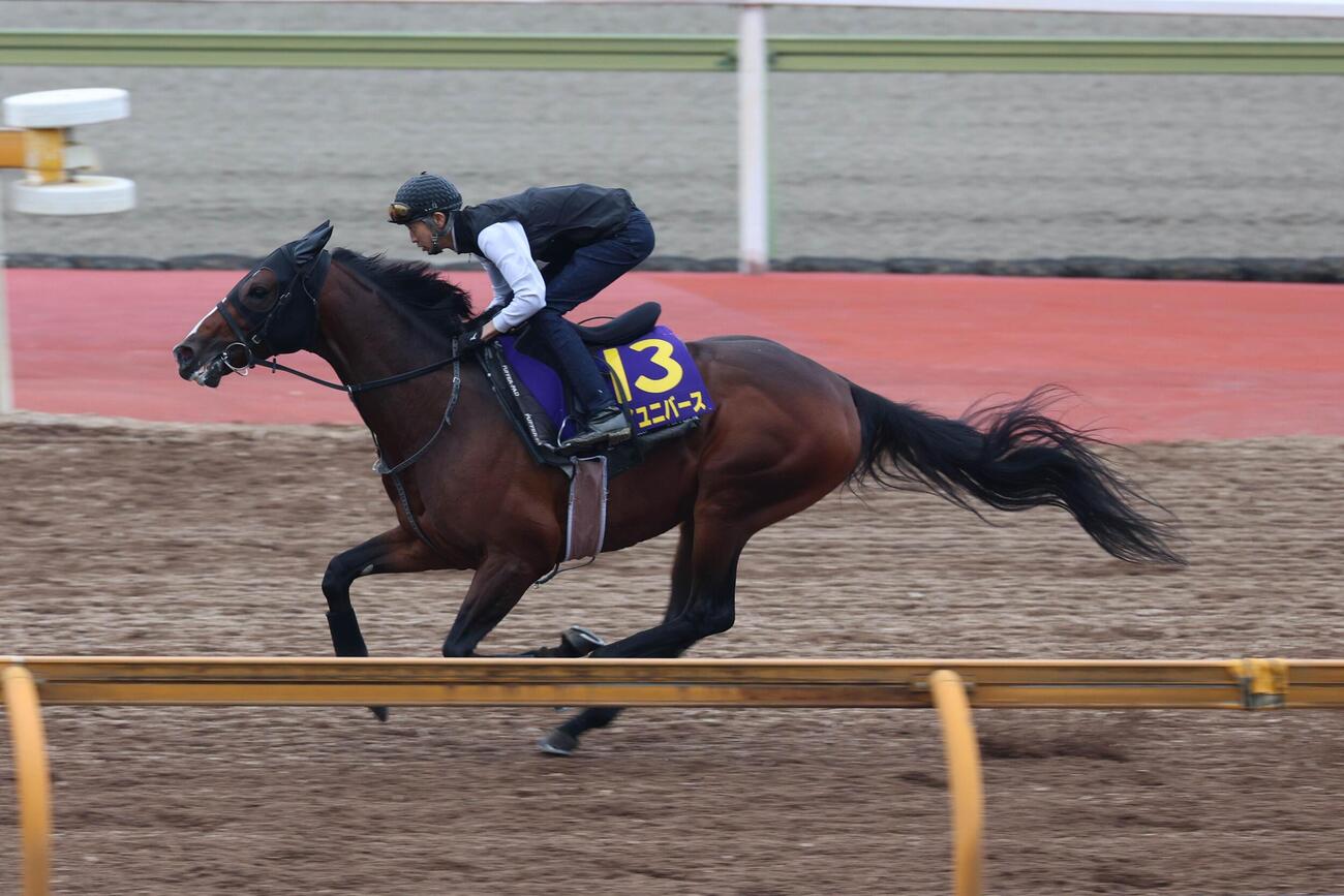 4日、武幸四郎調教師が自ら手綱を握り、Cウッドコースで活気あふれるフットワークを見せたマイユニバース