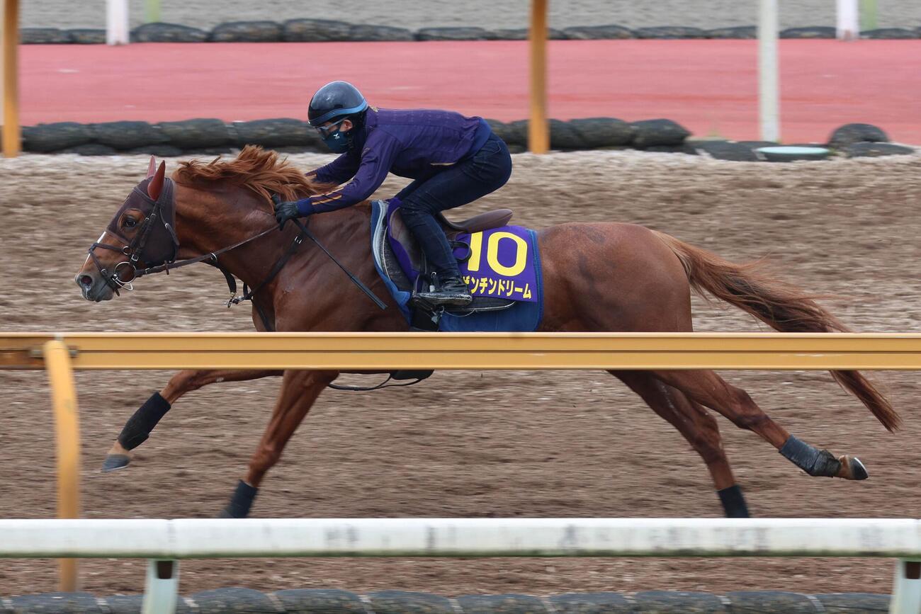 4日、Cウッドコースで躍動感あふれる動きを見せたビザンチンドリーム