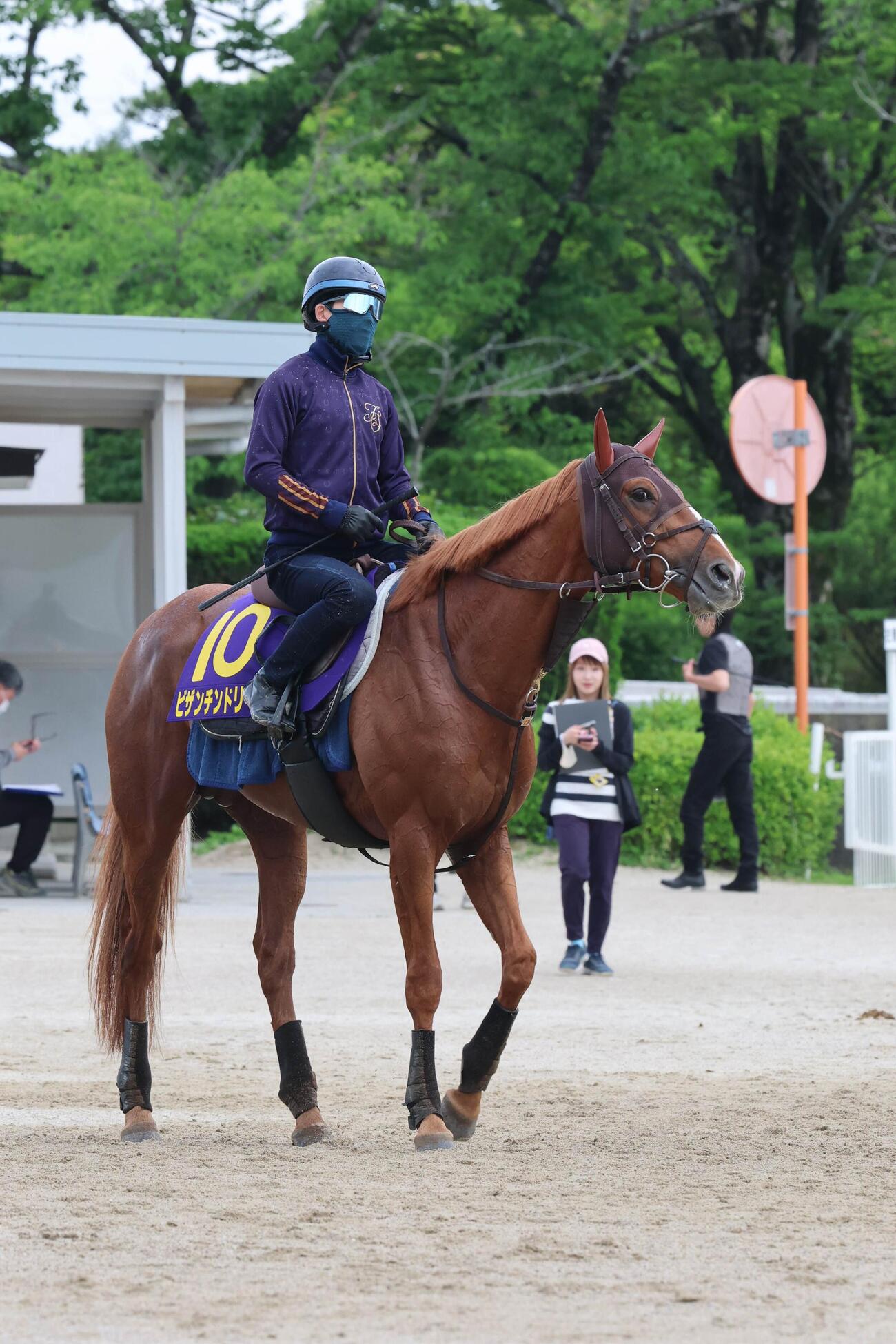 4日、追い切りで躍動感あふれる動きを見せたビザンチンドリーム