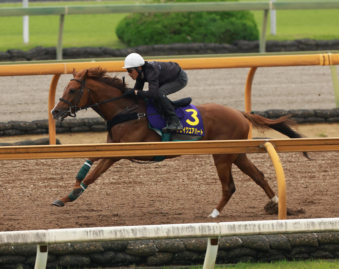 4日、古川吉洋騎手を背にCウッドコースを2頭併せで追い切るシェイクユアハート