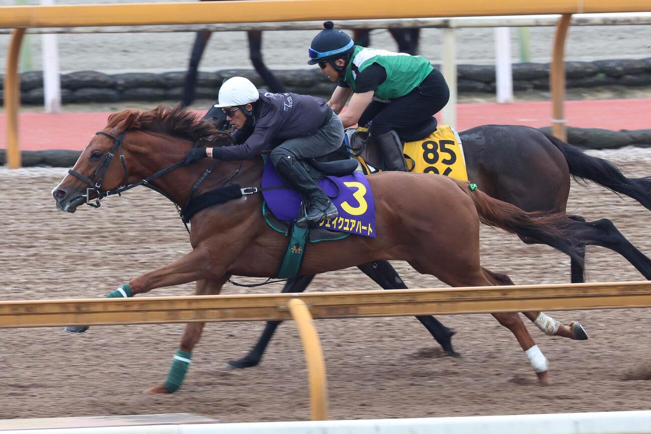 4日、古川吉洋騎手が騎乗し、併せ馬に先着するシェイクユアハート（左）。　（右はウインデイジー）