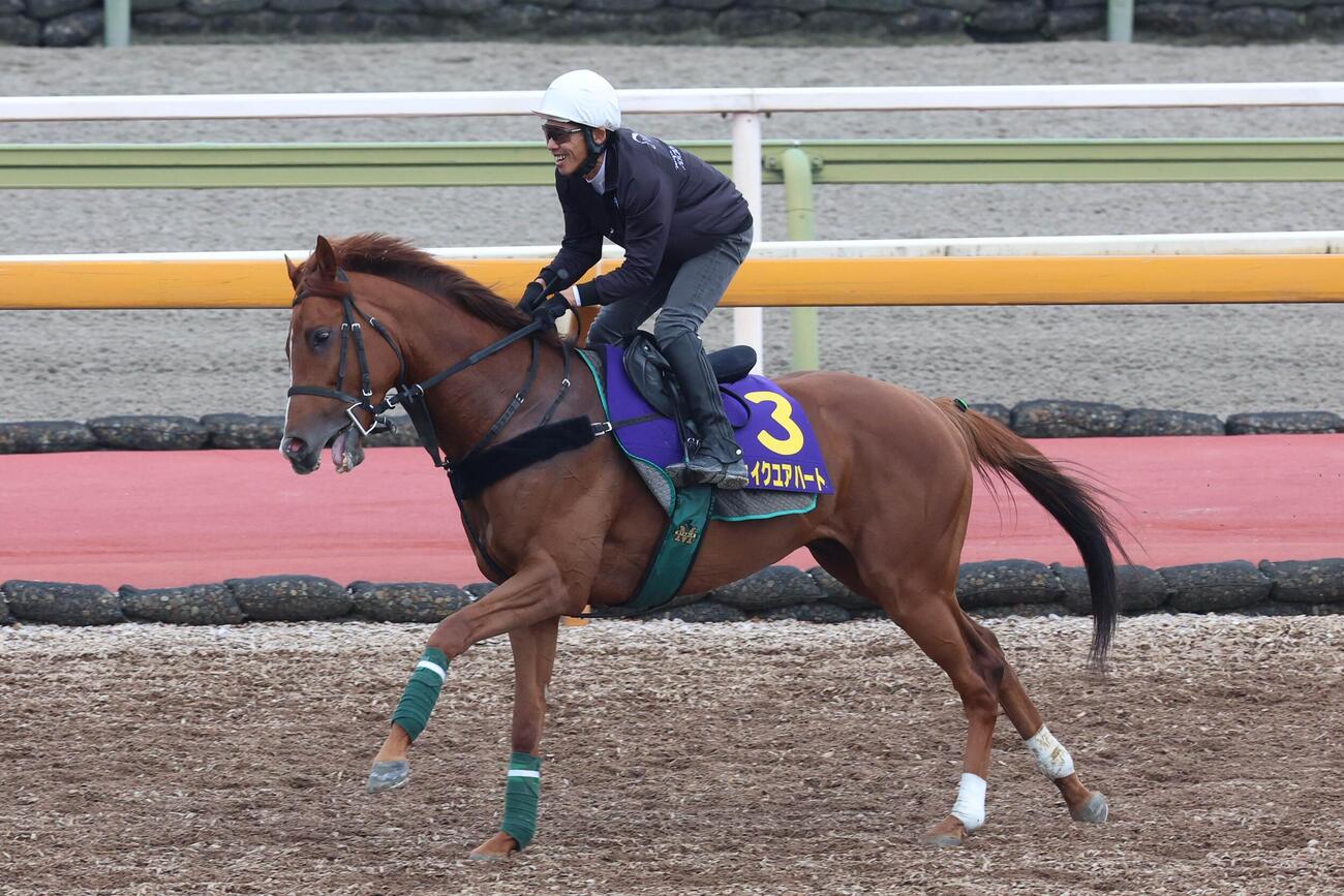 4日、古川吉洋騎手が騎乗し、馬場入りするシェイクユアハート