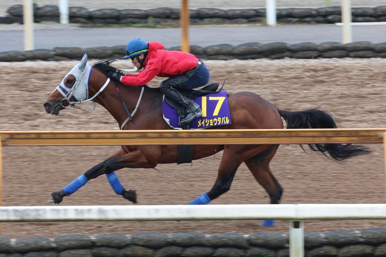 太宰啓介騎手が騎乗し（レースは武豊）、CWコース単走で強めに追い切られたメイショウタバル