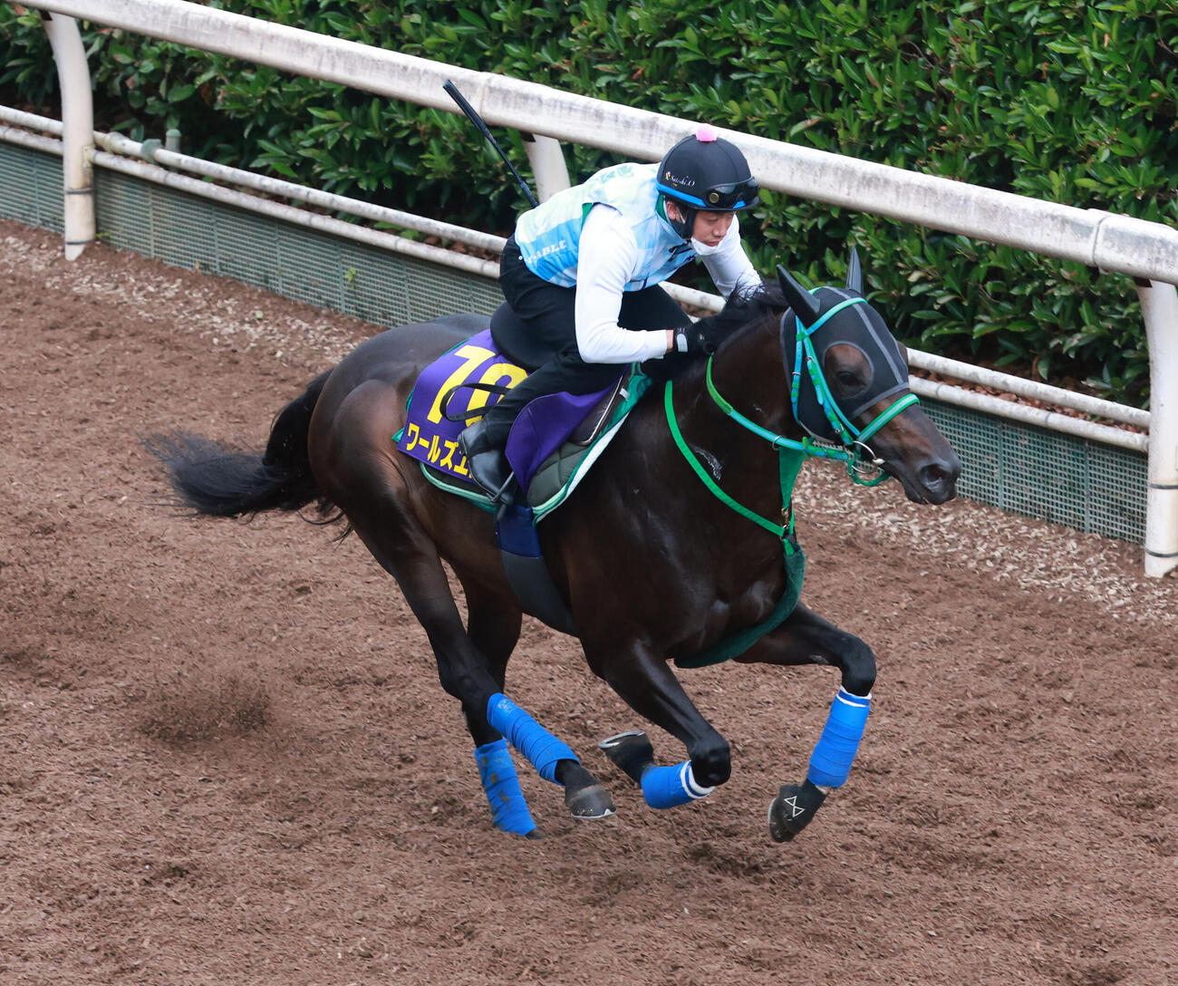 坂路を単走で追い切るワールズエンド

