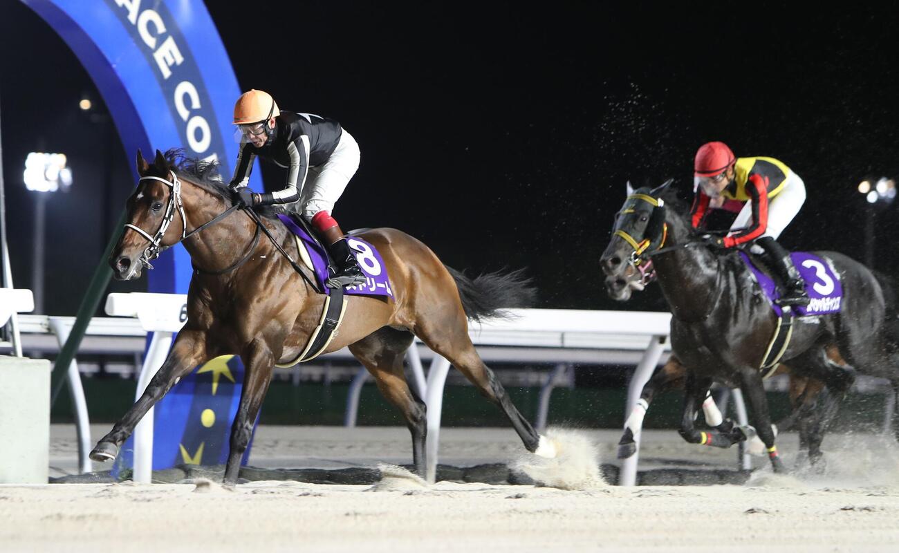 グランシャリオ門別スプリント3連覇を達成したストリーム（騎手・岩橋勇二）