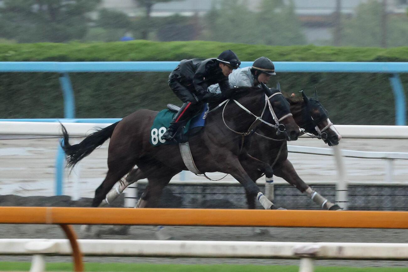 併せ馬でシャープな伸び脚を見せたエコロラーダ（左）（2026年6月3日撮影）