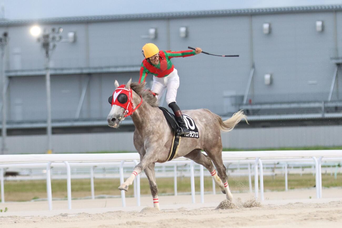 東海優駿を制したアストラビアンコ（写真提供・愛知県競馬組合）