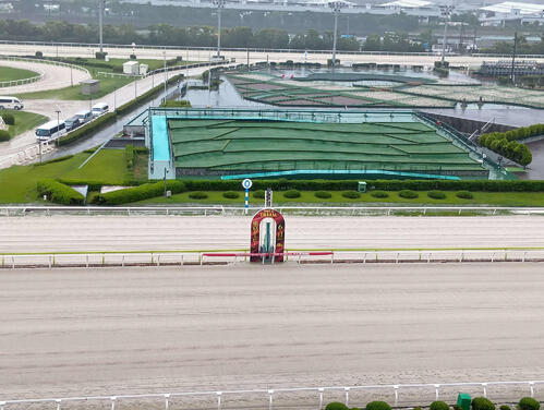 大井競馬】8日の開催は11レース制に 当初は12レース制 - 地方 | 競馬