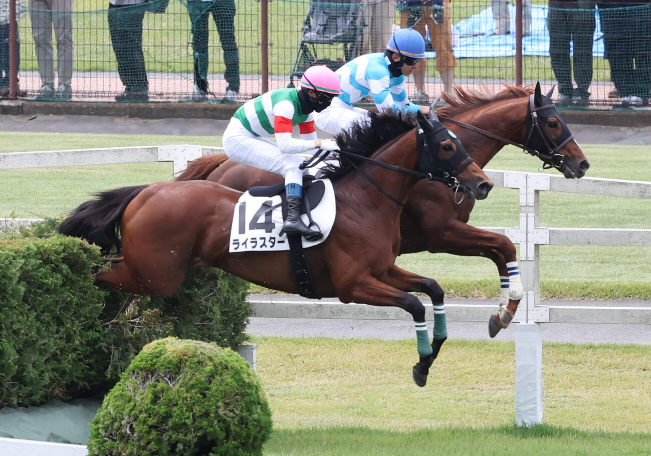 東京1R、障害3歳上未勝利戦を制したライラスターと上野翔騎手（手前）（撮影・丹羽敏通）